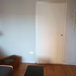 Il nido del Picchio 2